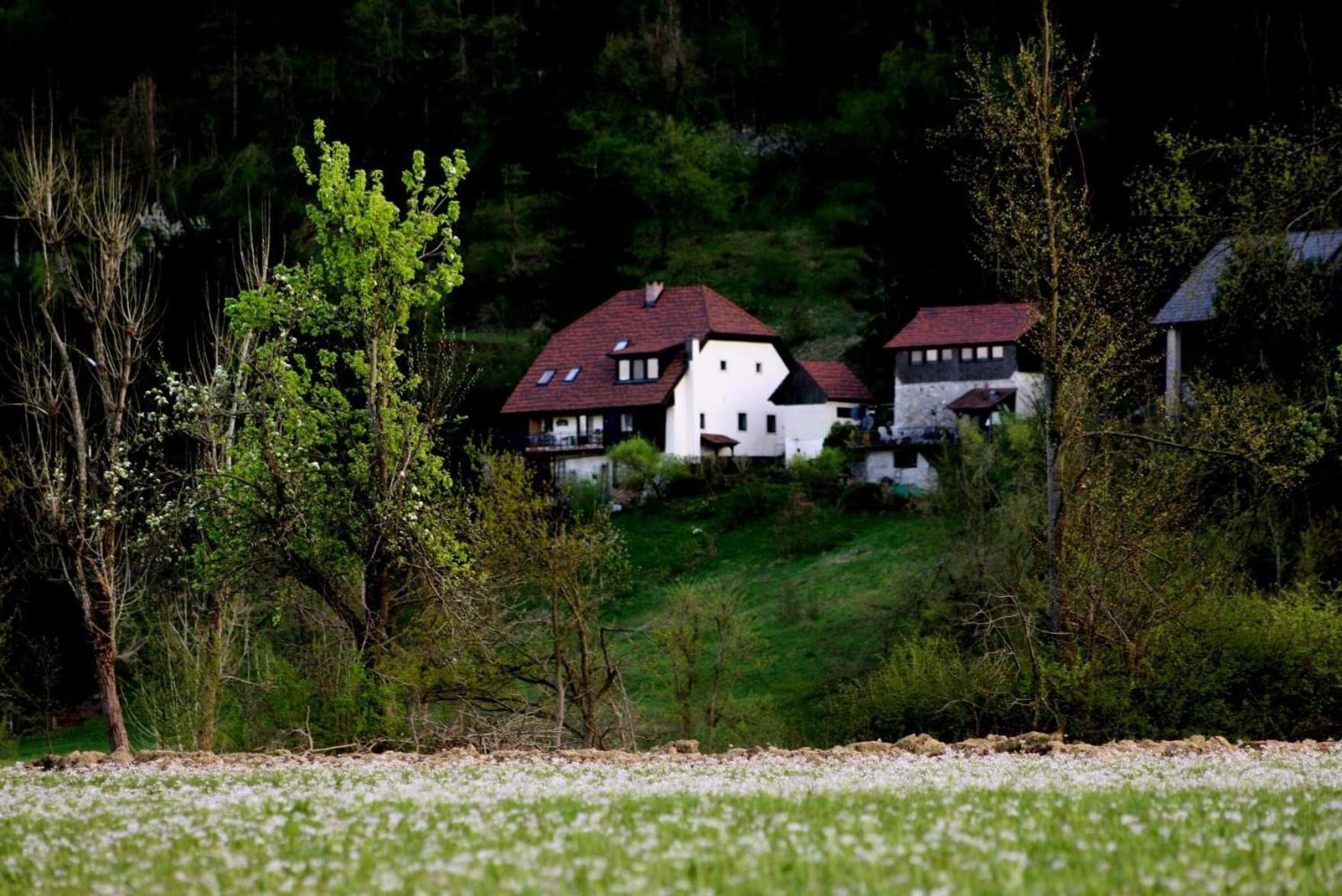 Apartment Sefic Planina  المظهر الخارجي الصورة