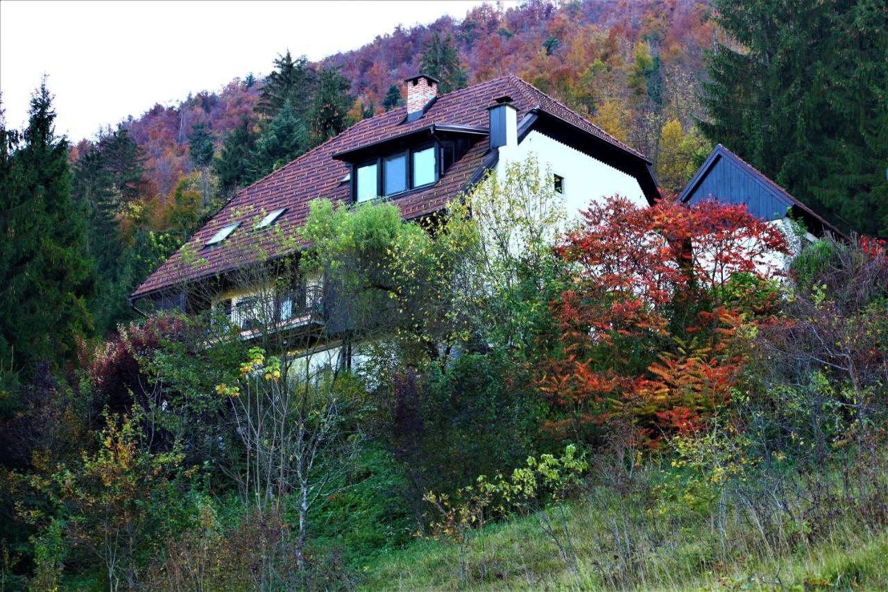 Apartment Sefic Planina  المظهر الخارجي الصورة